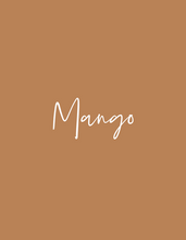 Mango - ONE - Melange Paint - Artisan Mineral Paints - Primer to Topcoat in One - 16oz - Canada Active