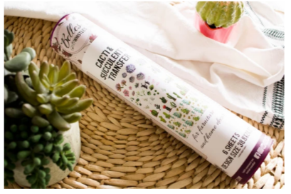 succulent sheet set Cacti & Succulents Transfer Belles And Whistles By Dixie Belle – Dove and Arrow