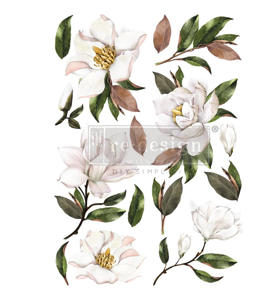 Magnolia Grandiflora - Redesign with Prima Decor Transfer