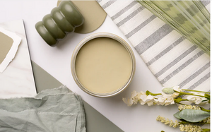 Olive Wood -  Dixie Belle Chalk Mineral Paint
