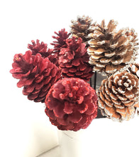Pinecone On a Stand