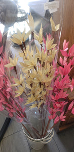 Palm Peacock Flowers - Dry - Pink or White Wash