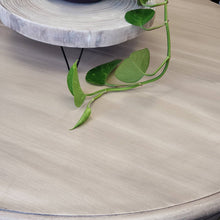 42 inch Round Table Finished in Casement White by Fusion Mineral Paint with Driftwood Stain and Finishing Oil Top