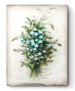 T444 FORGET ME NOT    - Sid Dickens Tile