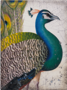 T287 Fabled Bird  - Sid Dickens Tile