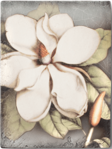 T301 Magnolia   - Sid Dickens Tile
