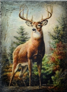 T541 Noble Stag  - Sid Dickens Tile