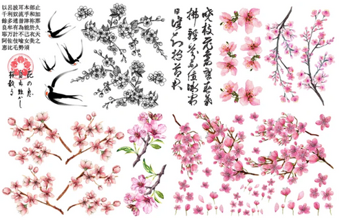 Cherry Blossom Transfer  Belles And Whistles By Dixie Belle