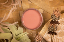 Desert Rose - Silk All In One Mineral Paint by Dixie Belle