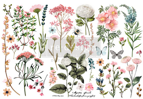 Botanical Paradise - Redesign with Prima Decor Small Transfer