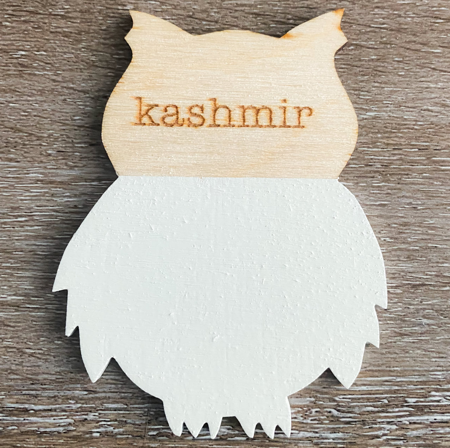 Kashmir - CSP- Wise Owl Chalk Synthesis Paint