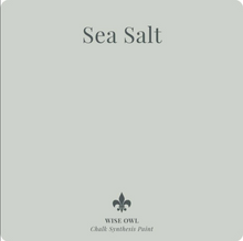 Sea Salt - CSP - Wise Owl Chalk Synthesis Paint