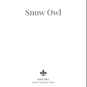 Snow Owl - CSP - Wise Owl Chalk Synthesis Paint