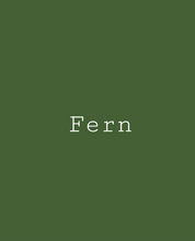 Fern - ONE - Melange Paint - Artisan Mineral Paints - Primer to Topcoat in One - 16oz - Canada Active