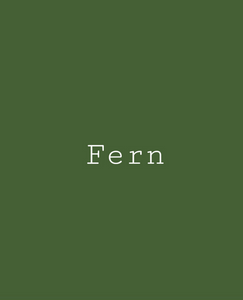 Fern - ONE - Melange Paint - Artisan Mineral Paints - Primer to Topcoat in One - 16oz - Canada Active