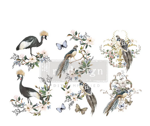 Rare Birds - Redesign with Prima Decor Small Transfer