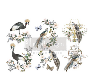 Rare Birds - Redesign with Prima Decor Small Transfer