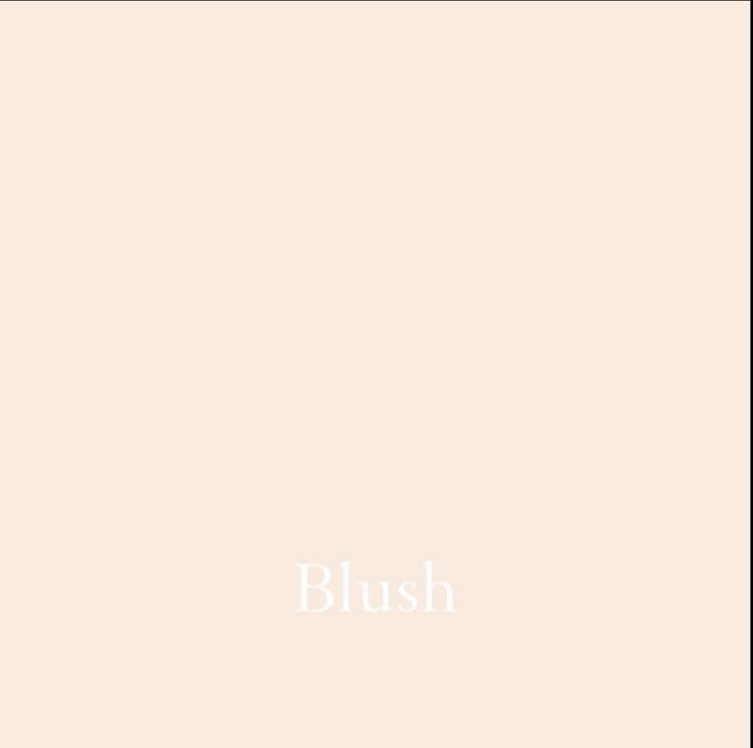 Blush-  CSP- Wise Owl Chalk Synthesis Paint