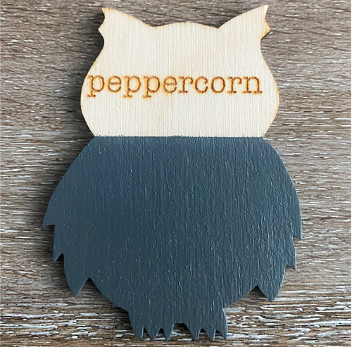 Peppercorn - CSP - Wise Owl Chalk Synthesis Paint