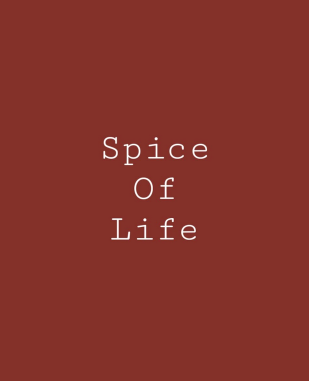 Spice of Life Red  - ONE - Melange Paint - Artisan Mineral Paints - Primer to Topcoat in One - 16oz - Canada Active