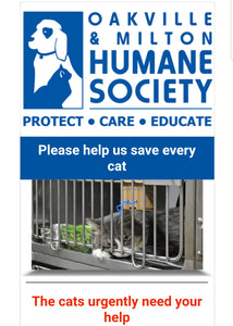 Cat Earrings - Fund Raiser for Oakville & Milton Human Society