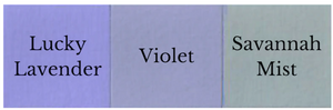 Savannah Mist Dixie Belle Chalk Mineral Paint