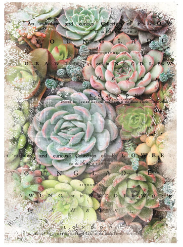 Zuri- Redesign with Prima Decor Decoupage Paper