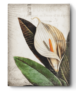 T452 CALLA LILY- Sid Dickens Tile- RETIRED