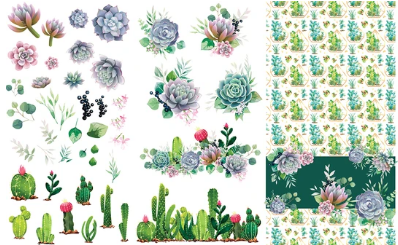 Cacti & Succulents Transfer Belles And Whistles By Dixie Belle