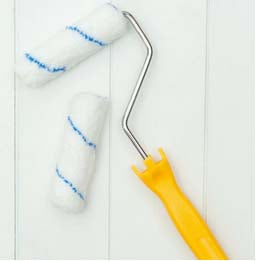 4 Inch Roller Frame & 1 Micro Fiber Roller